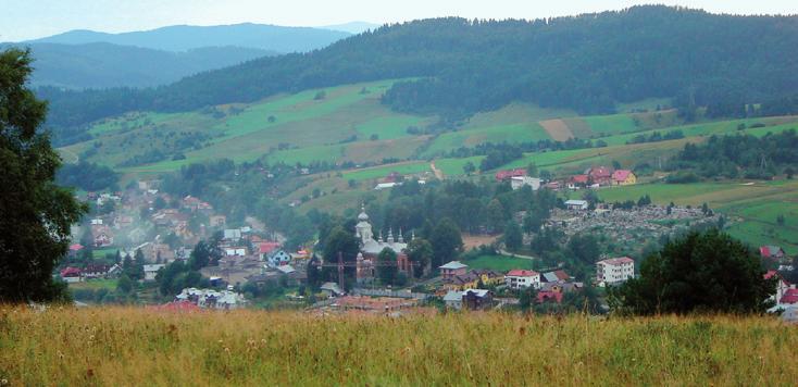 Kilkaset metrów dalej jedziemy już polną drogą, wąską doliną Szczawicznych Potoków przez piękny las iglasty. Przejeżdżamy obok skupiska dorodnych, strzelistych sosen z dużą ilością budek dla ptaków.