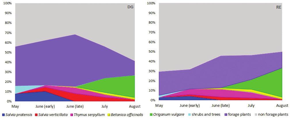 JACHUŁA J., WRZESIEŃ M., STRZAŁKOWSKA-ABRAMEK M., DENISOW B. tion of existing natural habitats identified as drivers of pollinator biodiversity (Albrecht et al. 2007).