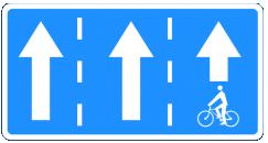 53. Znak ten: A. wskazuje wyznaczony na jezdni pas ruchu przeznaczony dla pojazdów wskazanych na znaku, B.
