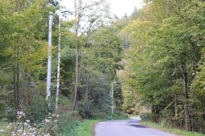 przedsięwzięcia, które udało się przeprowadzić w ciągu ostatnich czterech lat w sołectwie Brzyna: Inwestycje drogowe i przedsięwzięcia W latach 2016 i 2017 wykonano w systemie zaprojektuj i wybuduj