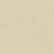 MATT BS 29,8 X 29,8 OD3-019 OPTIMUM CREAM STEPTREAD 29,8 X 9,8
