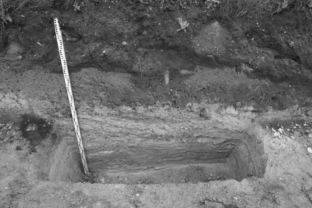 Fot. 2. Rawa Mazowiecka, stan. 3. Osady stropu terasy średniej (fot. K.