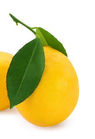 i fosforu SUPLEMENT DIETY NIE ZAWIERA: orzeszków ziemnych, soi, mleka żelatyny wieprzowej (stworzony na bazie pektyn) sztucznych barwników, aromatów i konserwantów HEALTHY BONES GUMMIES SUPLEMENT