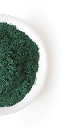 SPIRULINA ZIELONE SUPERFOOD AKTYWNY KOLAGEN SKARB OCEANU BEAUTY DETOX SUPLEMENT DIETY To produkt unikalny na skalę światową, który jednocześnie pozwoli zadbać Ci o kondycję organizmu, jak i o wygląd.