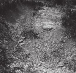 Ryc. 4. Nisza osuwiska stokowego marzec 1999 r (fot. K. Bialik) Fig. 4. Headwall of a slope landslide March 1999 (phot. K. Bialik) opadów dużą rolę odgrywało także spłukiwanie (ryc. 5).
