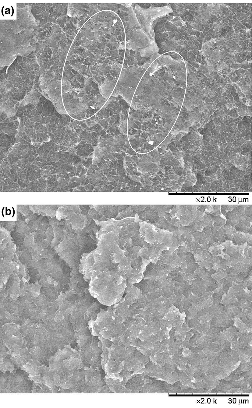 Study of thermal properties of polyethylene and polypropylene nanocomposites with long alkyl 1297 alkyl substituents, application of PSS with longer alkyl chain substituents (PSS18) can clearly