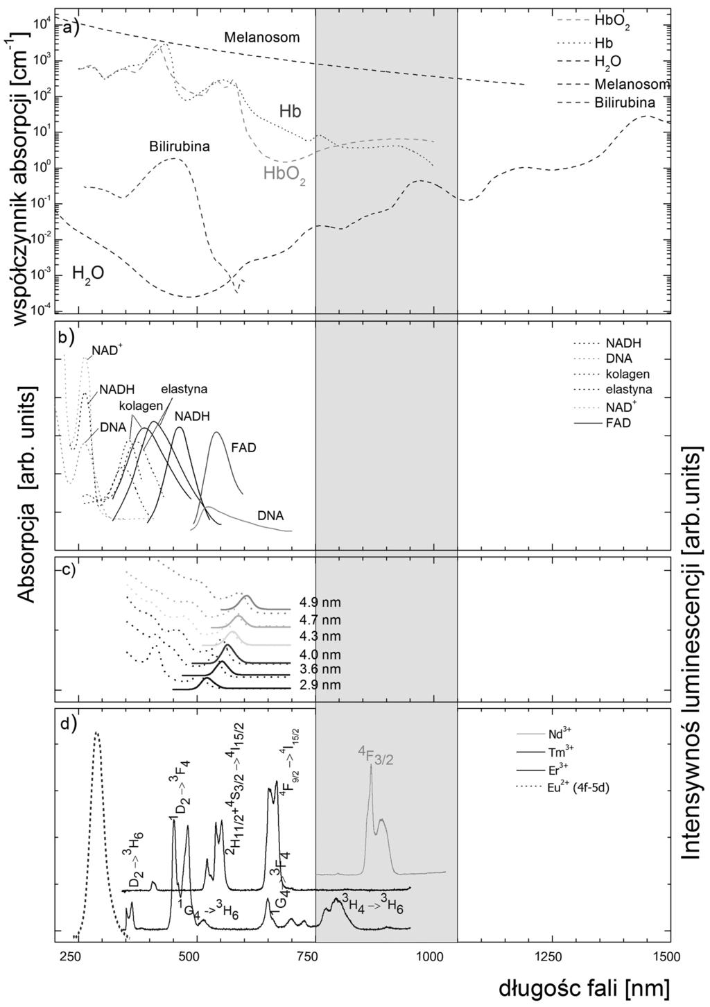Biologiczne zastosowania nanoluminoforów domieszkowanych lantanowcami 411 Rysunek 5. Figure 5.