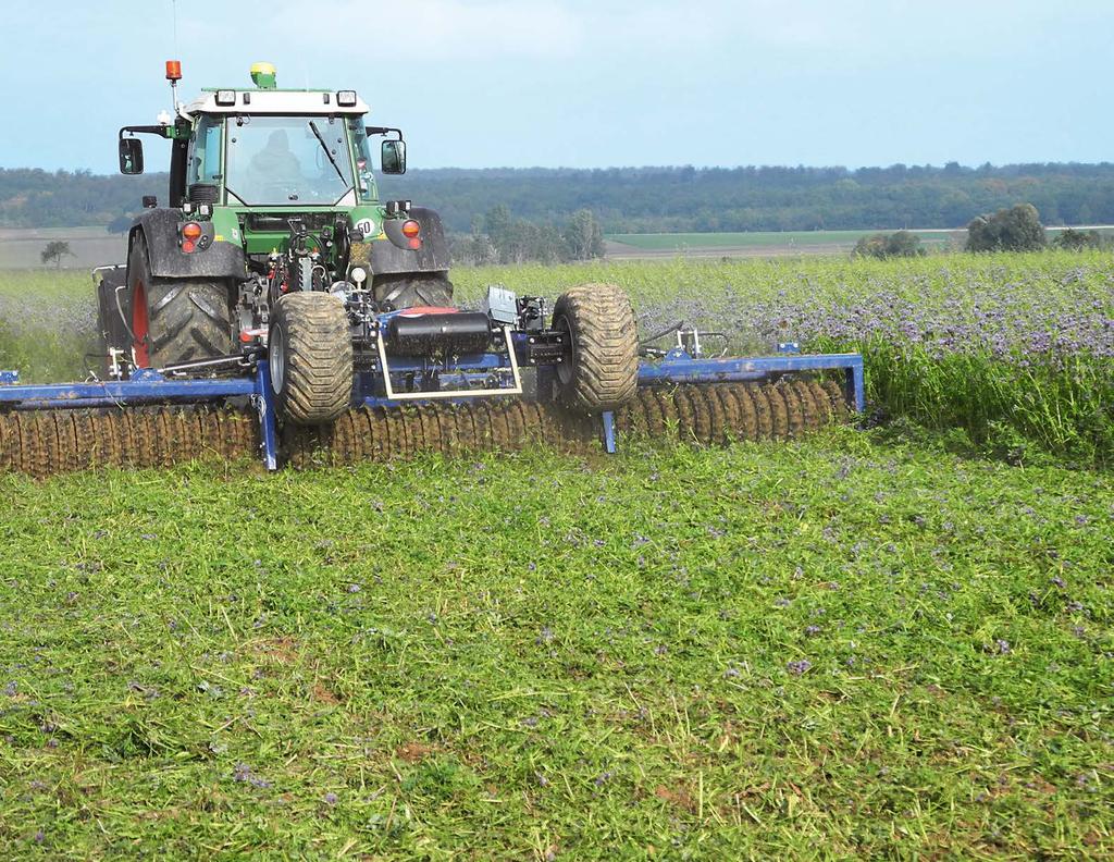 Wskazówki uprawowe Wskazówka Jeśli mieszanki międzyplonowe TerraLife pozostają przez zimę na polu niezaorane to zaleca się na końcu okresu wegetacji mechaniczne zredukowanie plantacji za pomocą wałów.