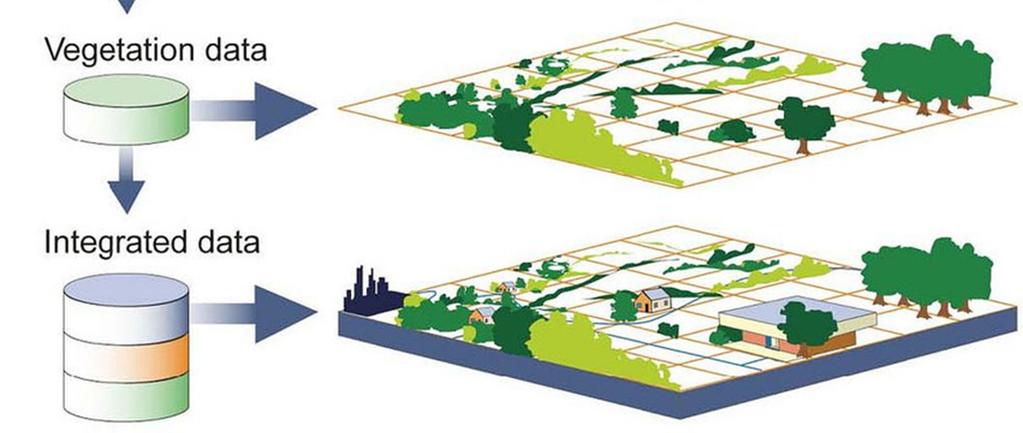 Opis kompletny pod względem geometrycznym. Brak informacji o topologii.
