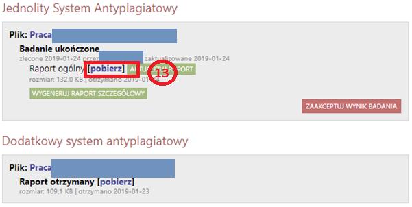 Po kliknięciu w pobierz (13) otwarta zostanie strona ze skróconym raportem podobieństwa - przykład strony poniżej.
