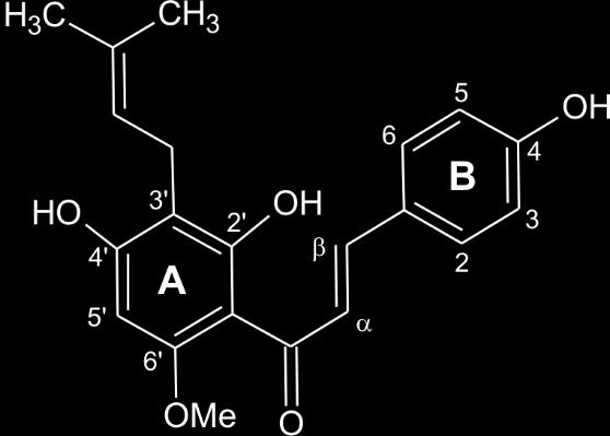 błony biologiczne i modyfikuje dwuwarstwę lipidową [45].