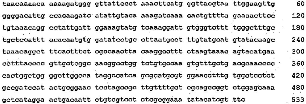 116 <400> <2> 6 <211> 7 <212> DNA <213> Wirus opryszczki pospolitej <400> 6 <2> 7 <211> 48 <212> DNA <213>