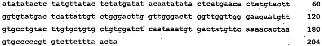117 <2> 9 <211> 18 <212> DNA <213> Małpi cytomegalowirus <400> 9 <2> <211> 131 <212> DNA <213> oryctolagus cuniculus <400> 1