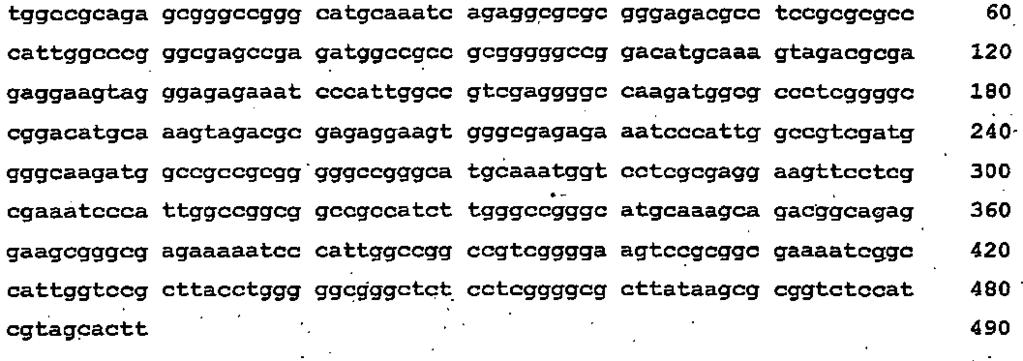 134 <2> 1 <211> 29 <212> DNA <213> Sekwencja sztuczna <2> <223> Starter <400> 1 <2> 2 <211> 490