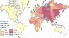 allel I B 0,21 (21%): I A, najczęściej w małych, izolowanych populacjach (Aborygeni, Skandynawia). 0,63 (63%): i, najczęstszy allel.