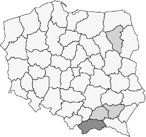 się też nowe.