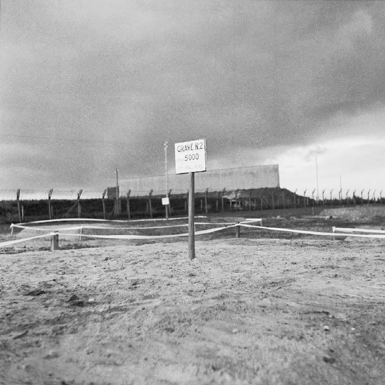 Ofiary obozów śmierci Zdjęcie przedstawiające zbiorowy grób (obóz w Bergen-Belsen, Niemcy, 1945 r.). Na tablicy przybitej do słupa można przeczytać: Grób nr 2: tu spoczywają ciała 5 000 osób.