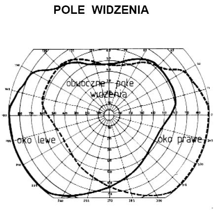 Inna możłiwość to przerwanie dróg doprowadzających bodźce do ośrodków wzrokowych w mózgowiu.
