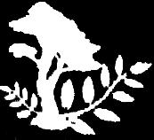 com - Mówie Po Polsku - CENTRAL PLUMBING COMPANY, INC.