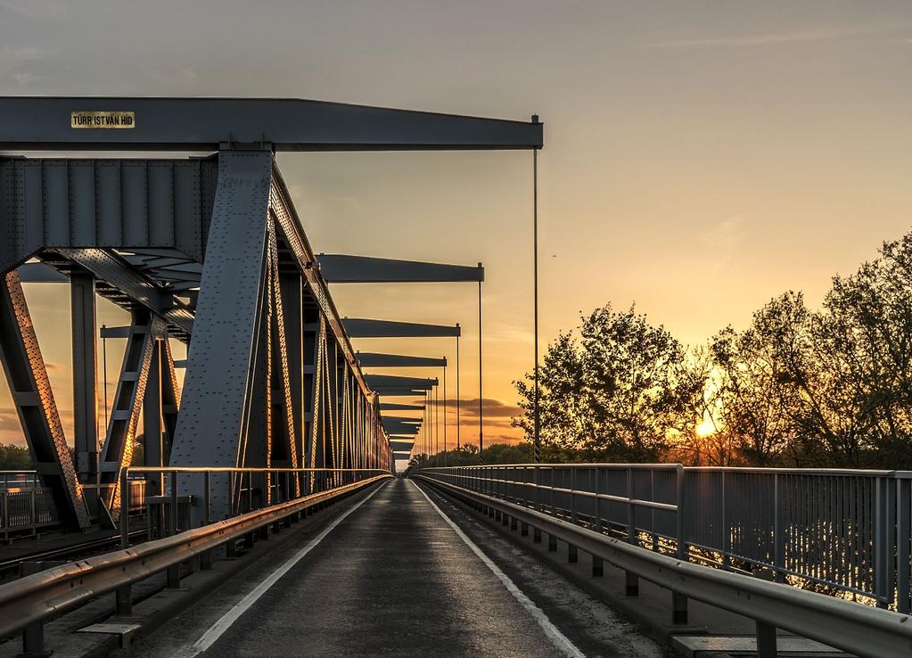 DOŚWIADCZENIE ZAWODOWE Chociaż ankietowani wskazują wiele wad związanych z pracą jako kierowca, przeważająca grupa nie bierze pod uwagę zmiany profesji 61%.