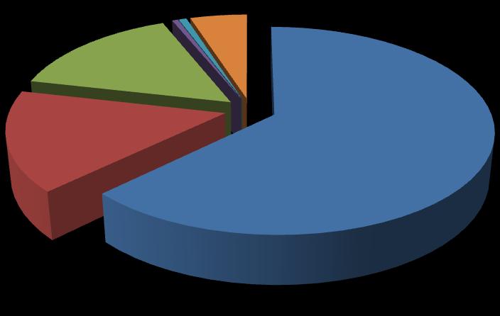 112 Wykres 48. Struktura kosztów realizacji przez powiaty woj. opolskiego zadań pomocy społecznej oraz zadań z zakresu wspierania rodziny i systemu pieczy zastępczej w 2017 r.