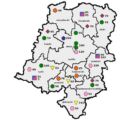 81 Województwo opolskie od wielu lat zajmuje pierwsze miejsce w Polsce pod względem liczby miejsc w zakładach stacjonarnych pomocy społecznej (w tym głównie w domach pomocy społecznej), w stosunku do
