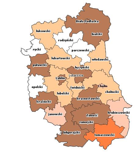 1) Zakład Aktywności Zawodowej w Stoczku Łukowskim, 2) Powiatowy Zakład Aktywności Zawodowej w Łęcznej, 3) Powiatowy Zakład Aktywności Zawodowej w Janowie Lubelskim oraz 4 prowadzone przez inne