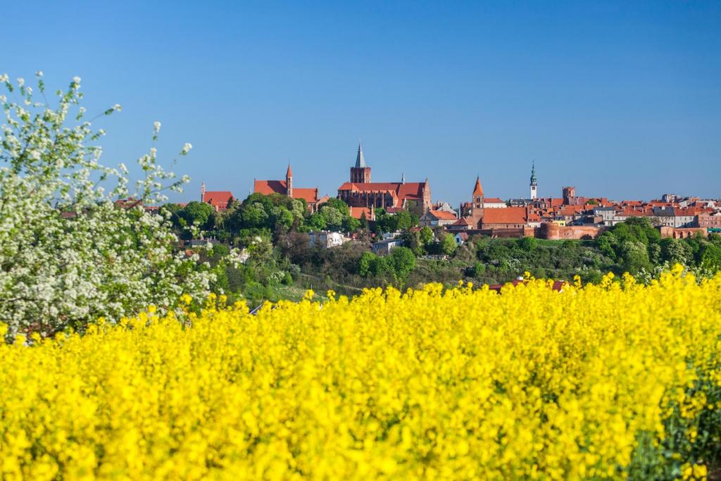 CHEŁMNO [1] Wysłane przez kdruzynska w ndz., 2017-07-09 21:17 Chełmno to jedno z piękniejszych miast średniowiecznych w Polsce, malowniczo położone na dziewięciu wzgórzach.