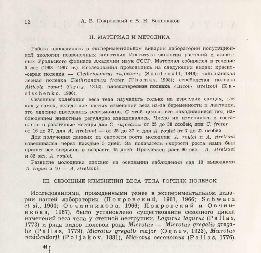 nojiebka Alticola roylei (Gray, 1842): ;nji0ck0hepenih>aih nojiebka Alticola strelzovi (Kastschenko, 1900).