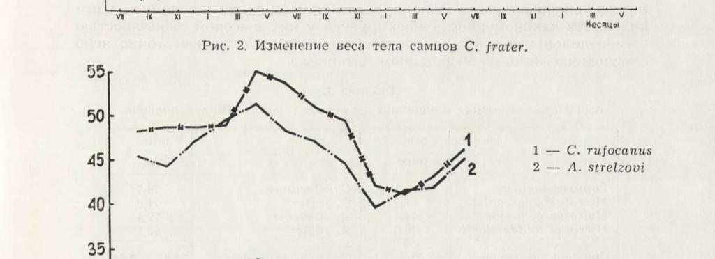 y o» a/ ^ \ / V i, v \ y v \ v J / o \ / A \ V t v A ^ y / y a 25 (5) vi IX XI I I v VI IX xi Puc.