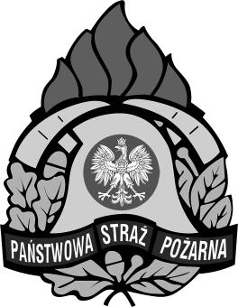 Komendy Głównej Państwowej Straży Pożarnej Nr 1 25 Poz. 13 13 DECYZJA NR 17 KOMENDANTA GŁÓWNEGO PAŃSTWOWEJ STRAŻY POŻARNEJ z dnia 22 kwietnia 2009 r.