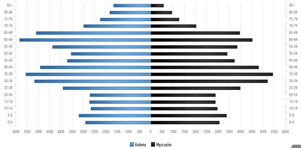 Demografia Piramida wieku