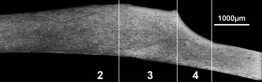 Rolling of zinc under the conditions of cyclic changes of compressive stress 121 w strefie wyciskania (rys.
