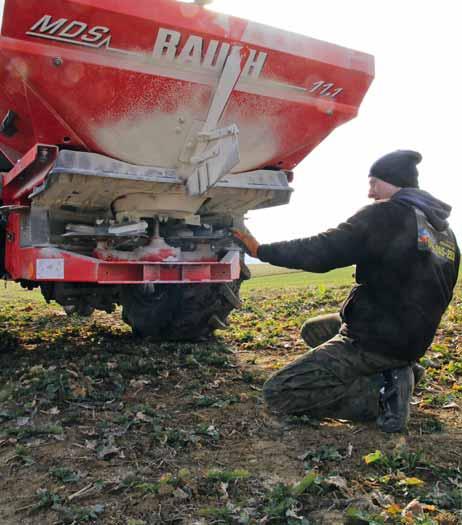 w tym samym czasie jest nieuniknione, należy najpierw rozsiać wapno i wymieszać je z glebą, a dopiero później rozrzucić obornik.