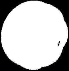 dedykowana automatyka.