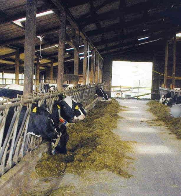 Konwencjonalne czyszczenie r czne jest wykonywane z wykorzystaniem potencjalnie niebezpiecznych substancji chemicznych, które zawodz w osi ganiu wymaganych