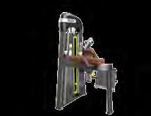 GLUTE ISOLATOR SEATED DIP odpowiednio dobrany