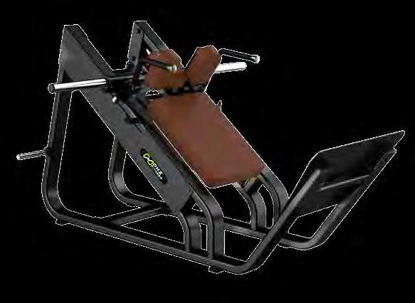 ANGLED LEG PRESS HACK SLIDE