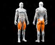 workout position ensures isolated workout