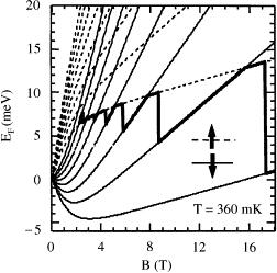 The dark solid line shows the variation of the Fermi energy with magnetic field. Parameters used in this calculation are: E F =7 mev at B=0, and T=360 mk.