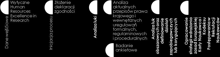 Powyższy proces gwarantuje walidacje uzyskanych danych z analizy luki oraz mini