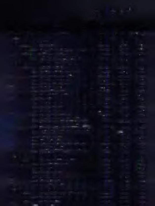 170866,94 96,26 3030 Różne wydatki na rzecz osób fizycznych 177 500,00 170866,94 96,26 02002 Nadzór nad gospodarką leśną 95 000,00 93869,78 98,81 2800 Dotacja celowa z budżetu dla pozostałych