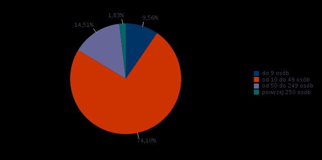 Badanie miało na celu dostarczenie informacji o bieżącej oraz potencjalnej strukturze zatrudnienia w przedsiębiorstwach.