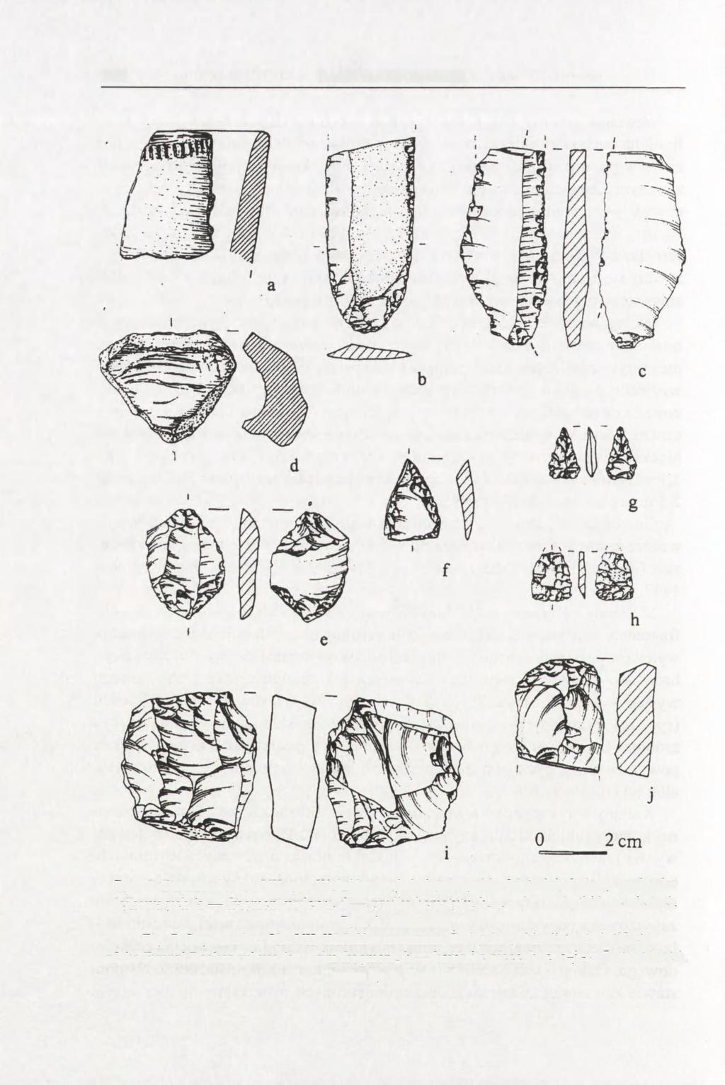 282 BARBARA MATRASZEK Ryc. 7. Stryczowice, st. VII, gm. Waśniów, woj. świętokrzyskie. Materiały kultury pucharów lejkowatych (a fragment wylewu, d grudka hematytu, b, c, e-j zabytki krzemienne). Rys.