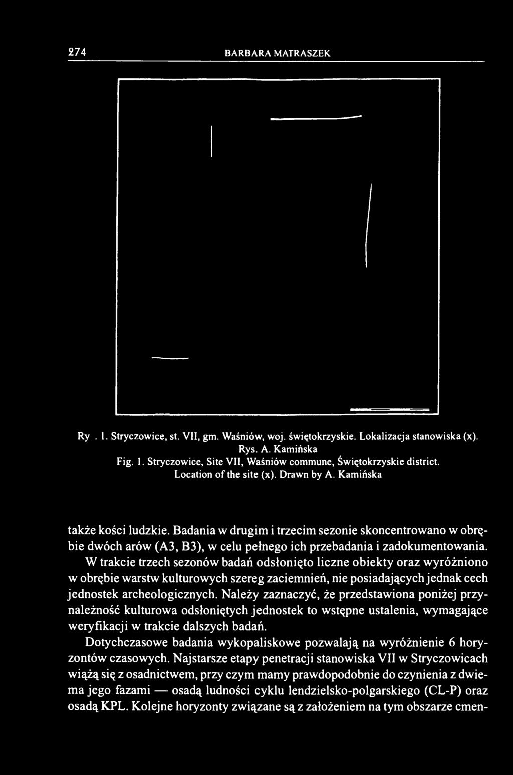 W trakcie trzech sezonów badań odsłonięto liczne obiekty oraz wyróżniono w obrębie warstw kulturowych szereg zaciemnień, nie posiadających jednak cech jednostek archeologicznych.