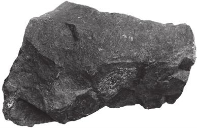 5 Zadanie 10. (2 pkt) Na fotografiach przedstawiono skały: bazalt, granit i gnejs.