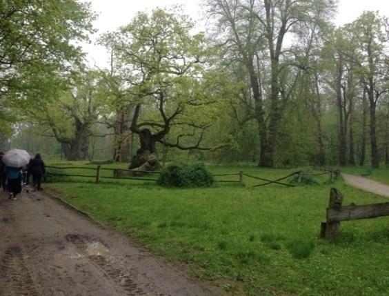 Rencistów i Inwalidów z Ciechanowa pan Przewodniczący Jan Kuskowski wraz z małżonką,