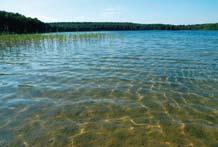 oligo-mezotroficznymi są np. czyste i głębokie jeziora Mazur, Pomorza Zachodniego, Kaszub, Borów Tucholskich, Pojezierza Łagowskiego.