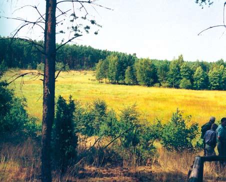 Fot 77. Jezioro Białe Błota przed rozpoczęciem prac. Zdjęcie z roku 1995 Fot. K.