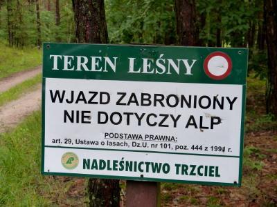 Skąd mam wiedzieć w jakim jestem nadleśnictwie? Jest kilka sposobów na sprawdzenie tego w jakim jesteśmy lub zamierzamy być nadleśnictwie i czy są to lasy Lasów Państwowych czy innego właściciela.